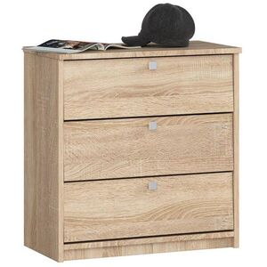 RAUMHIRSCH FURNITURE SKŘÍŇ NA BOTY dub Sonoma 62/60/31 obraz