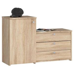 RAUMHIRSCH FURNITURE SKŘÍŇ NA BOTY dub Sonoma 68/98, 4/33 obraz