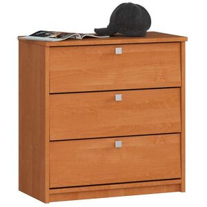 RAUMHIRSCH FURNITURE SKŘÍŇ NA BOTY v barvě olše 62/60/31 obraz