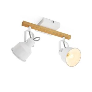 Nettlife STROPNÍ bodové světlo Emerson se 2 žárovkami 29/14/19 cm obraz