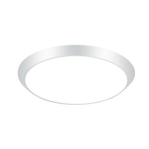 Nettlife LED stropní světlo Frisbee 30 cm obraz