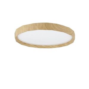 Nettlife STROPNÍ LED svítidlo Richard, 40 cm obraz