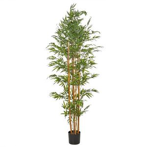 Beliani UMĚLÁ ROSTLINA v květináči 220 cm Zelená/Světlejší Odstín dřeva Bamboo obraz