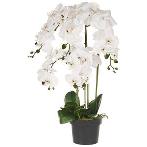 Beliani UMĚLÁ ROSTLINA v květináči 65 cm Bílá Orchid obraz