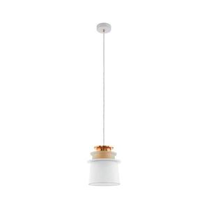 Eglo 96873 - Závěsné svítidlo SCAZON 1xE27/60W/230W 96873 obraz