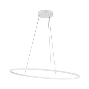 Redo 01-3337 - LED Stmívatelný lustr na lanku LEO LED/48W/230V bílá 01-3337 obraz