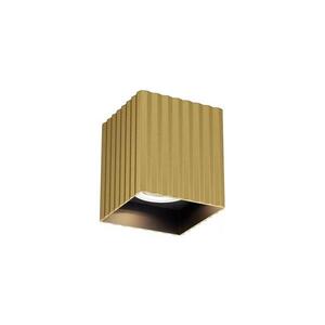 Redo 01-3408 - Bodové svítidlo DELPHI 1xGU10/7W/230V 8, 1x8, 1 cm zlatá 01-3408 obraz
