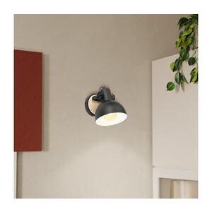 Eglo 43164 - Nástěnné svítidlo LUBENHAM 1xE27/28W/230V 43164 obraz