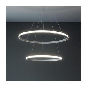 LED Stmívatelný lustr na lanku LED/55W/230V 3000-6500K pr. 60 cm + DO TB2301/W obraz