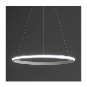 LED Stmívatelný lustr na lanku LED/55W/230V 3000-6500K pr. 60 cm + DO TA2305/W obraz