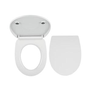 FERRO - Záchodové prkénko SoftClose duroplast/bílá WC/SOFTNEW obraz