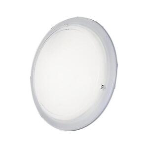 Eglo 25556 - Stropní svítidlo 1xE27/60W/230V 25556 obraz