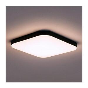 LED Stropní svítidlo NEMO LED/36W/230V 50x50 cm černá ML1836 obraz