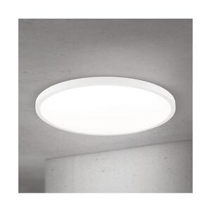 Orion - LED Stm. str. svítidlo DISC LED/46W/230V 2700/3000/4000K pr. 60 cm bílá DL 7-705/60 weiß obraz