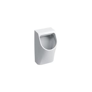 Geberit 500.254.01.1 - Pisoár Smyle zadní přívod, zadní odpad keramika/bílá 500.254.01.1 obraz