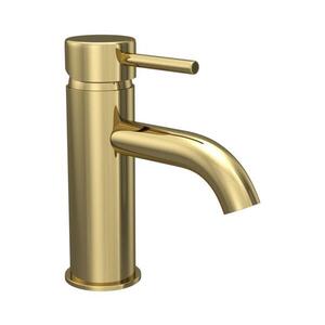 BATH DELUXE Umyvadlová baterie DRAGOR 15, 6 cm lesklá mosaz 28-005-01-64-04 obraz