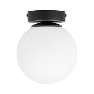 Stropní svítidlo MOONLIGHT 1xE27/15W/230V pr. 16 cm černá P-8020/1 BK obraz