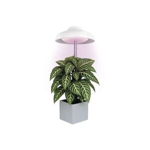 LED Interiérová lampa pro pěstování rostlin GROW LED/5W/5V Z7901 obraz