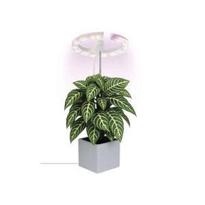 LED Stmívatelná interiérová lampa pro pěstování rostlin GROW LED/8W/5V Z7902 obraz