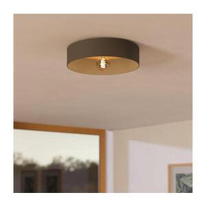 Eglo 901745 - Stropní svítidlo DUAIA 1xE27/40W/230V šedá 901745 obraz