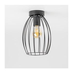 LED Stropní svítidlo 1xE27/6, 5W/230V černá 9A21994 obraz