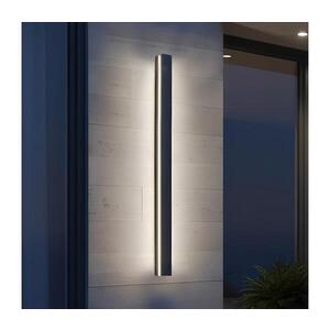 LED Venkovní nástěnné svítidlo MIRANA LED/25W/230V 4000K IP44 120 cm černá 004722 obraz