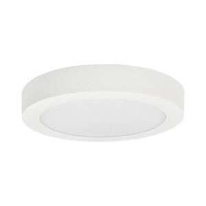 Greenlux LED Stropní svítidlo FENIX LED/12W/230V 3800K pr. 17 cm sněhově bílá obraz
