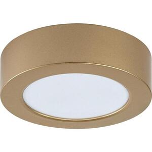 Rabalux 75077 - LED Koup. str. svítidlo SHAUN PLUS 7W/230V pr. 12 cm IP44 zlatá 75077 obraz