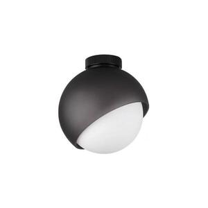 Ideal Lux - Stropní svítidlo BLOOM 1xE27/42W/230V pr. 22 cm černá 366586 obraz