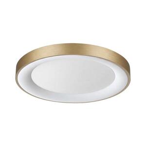 Ideal Lux - LED Stropní svítidlo PLANET LED/25W/230V CRI 90 pr. 50 cm mosaz 370637 obraz