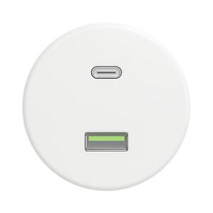 lap - Retro USB zásuvka A+C bez rámečku sněhově bílá W/USB obraz