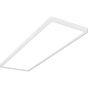 Briloner - LED Přisazený panel LED/22W/230V 4000K 20x58 cm bílá 4002707422259 obraz