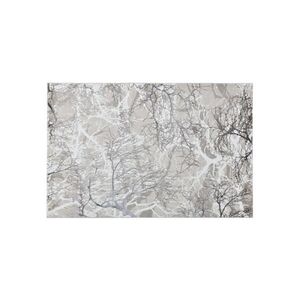 Multidecor Koberec GRECE 120x170 cm 2150 g/m2 krémová/šedá/bílá 509287 obraz