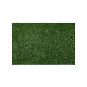 Multidecor Umělá tráva BELLIN 100x200 cm 18 mm zelená 420284 obraz