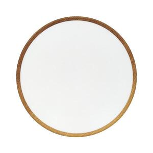 LED Stropní svítidlo LED/40W/230V 3000/4000/6500K pr. 50 cm béžová 008 0001285 obraz