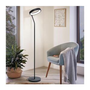 Eglo 32327 - LED RGBW Stm. stojací lampa MARGHERA-C LED/15, 5W/230V černá 32327 obraz