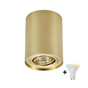 Zuma Line 94354-N - LED RGBW Stm. bodové svít. RONDOO 1xGU10/4, 8W/230V zlatá + DO ZL0286+AI2382 obraz