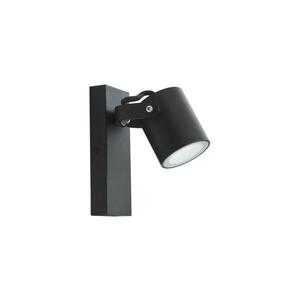Venkovní nástěnné svítidlo PINO 1xGU10/10W/230V IP44 311573 obraz