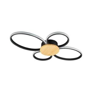 LED Stropní svítidlo SABINA LED/38W/230V kaučukovník 334350 obraz