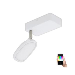 Eglo 97691 - LED RGB Bodové svítidlo PALOMBARE-C 1xLED/5W/230V 97691 obraz