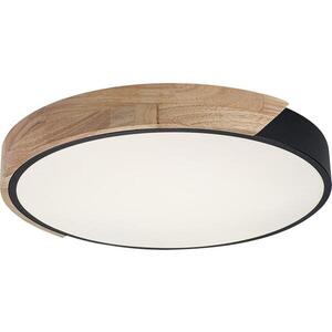 Rabalux 71416 - LED Stropní svítidlo MAPLE2 LED/24W/230V 4000K pr. 41 cm 71416 obraz
