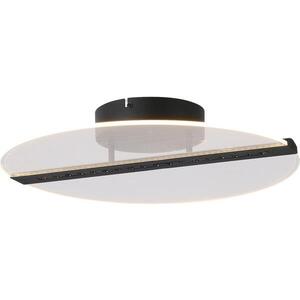 Rabalux 71483 - LED Stropní sv NORAEL LED/20W/230V 3000 pr. 41 cm černá/čirá 71483 obraz