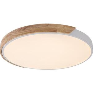 Rabalux 71419 - LED Stropní sv MAPLE2 40W/230V 3000/4000/6500K bílá/dub pr.61 cm 71419 obraz
