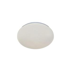 Rabalux 71501 - LED Stropní svítidlo LUCAS2 LED/12W/230V 4000K pr. 25, 5 cm 71501 obraz