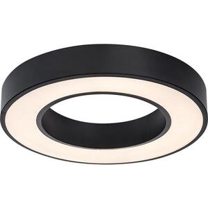 Rabalux 71361-LED St stropní sv CIRANO LED/45W/230V 3000-6500K pr.60 cm černá+DO 71361 obraz