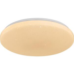 Rabalux 71446 - LED Stm stropní sv DANNY 2 LED/34W/230V 3000-6500K pr. 38 cm+DO 71446 obraz