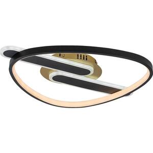 Rabalux 71467 - LED Stm stropní sv BRANTIEL LED/60W/230V 3000-6000K 53x45 cm+DO 71467 obraz