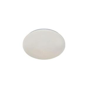 Rabalux 71507 - LED Stropní svítidlo LUCAS2 LED/12W/230V 4000K pr. 25, 5 cm 71507 obraz