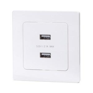 B.V. - USB napájecí zásuvka s rámečkem 2x USB-A bílá B20101TSN obraz
