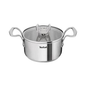 Tefal - Hrnec s poklicí EXTREME 16 cm E5294204 obraz